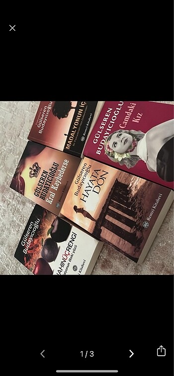 Gülseren budayıcıoğlu