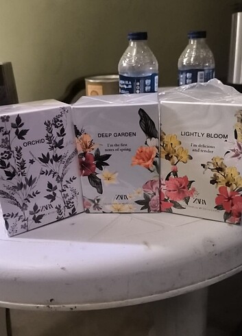 Zara parfumler