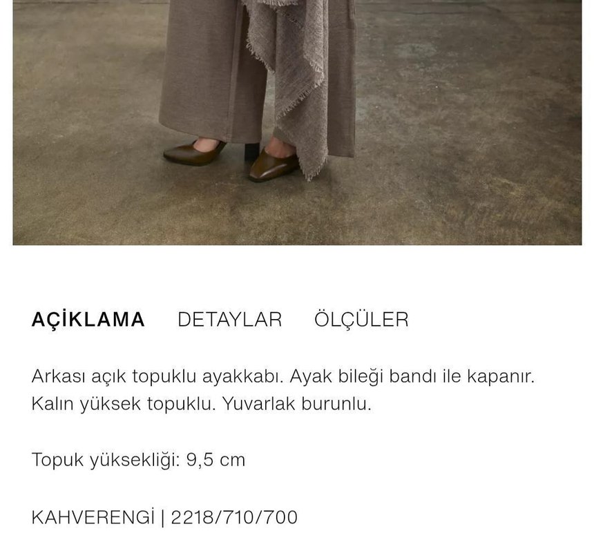 Zara Topuklu Ayakkabı - Görsel 2