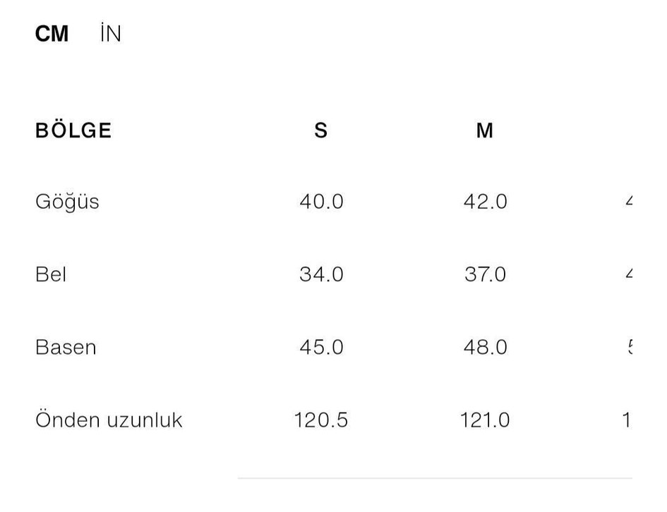Zara Elbise - Görsel 3