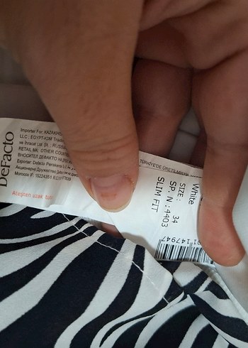 Zebra Desenli Kadın  Elbise - Görsel 2