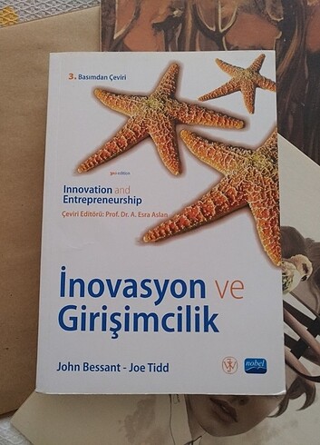 İnovasyon ve Girişimcilik kitabı
