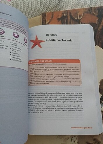 İnovasyon ve Girişimcilik kitabı