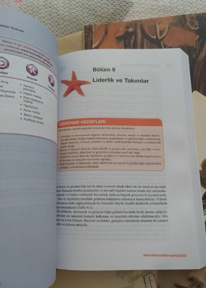 İnovasyon ve Girişimcilik kitabı - Görsel 2