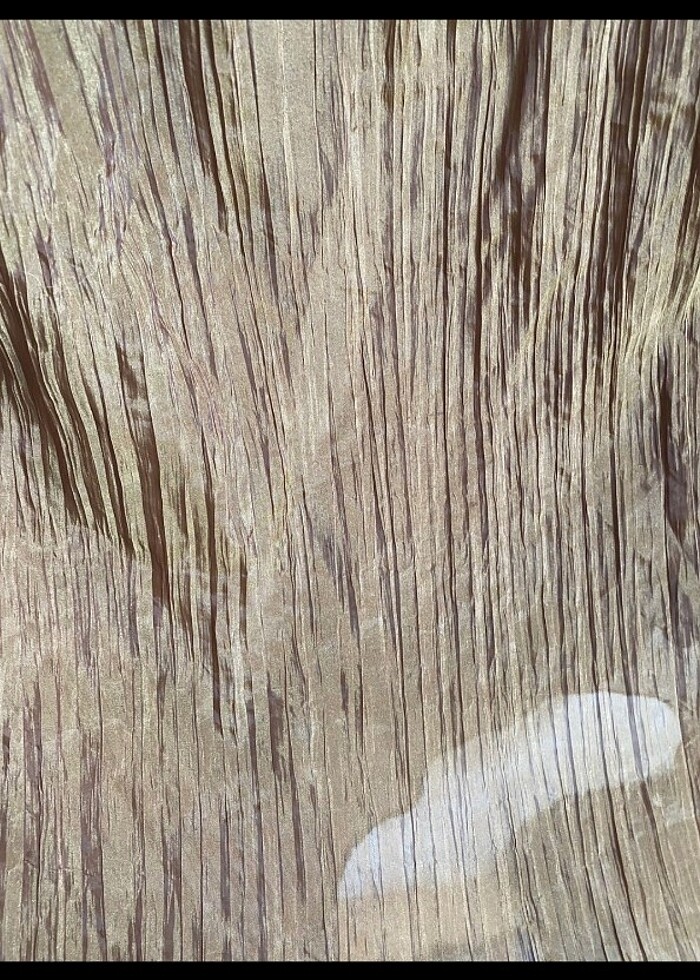 ZARA ETEK - Görsel 4