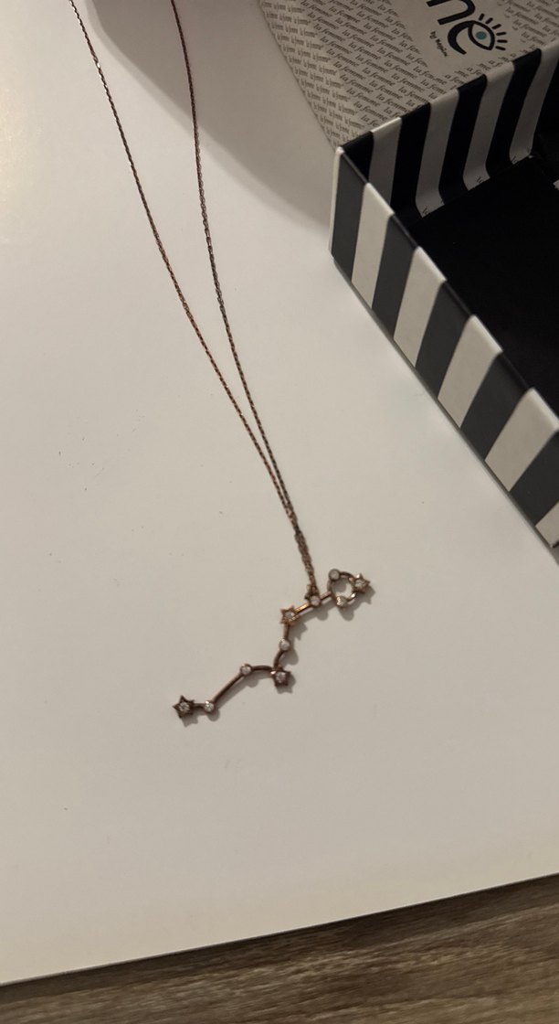 Bakır Bronz Rengi Balık Burcu Yıldız Haritalı Kolye - Görsel 3