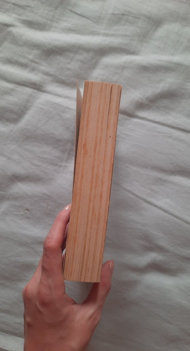 AYT Edebiyat Konu Anlatımı El Kitabı - Görsel 2