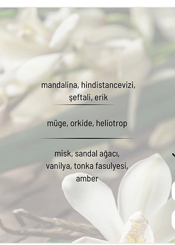 Lumière Illusione Kadın Parfümü 50 ml - Görsel 3