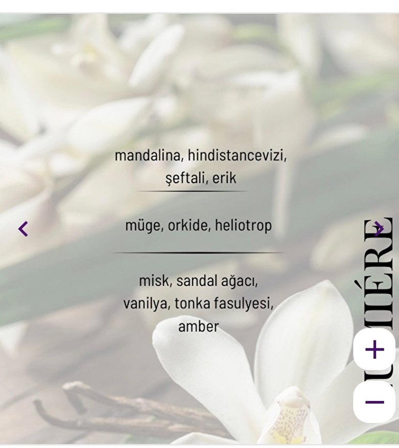 Lumière Illusione Kadın Parfümü 50 ml - Görsel 3