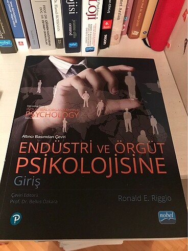 endüstri ve örgüt psikolojisine giriş ronald riggio
