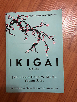 Kitap ıkıgaı