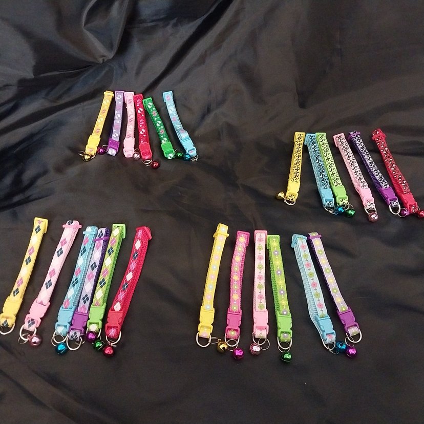 Renkli Çoklu Kedi Tasması - Görsel 2