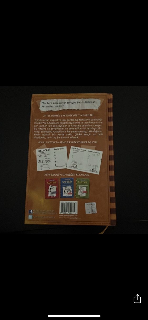 Saftirik Greg'in Günlüğü Kendin Yap Kitabı - Görsel 2