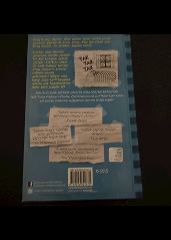 Saftirik Greg'in Günlüğü: Panik Yok! - Görsel 2