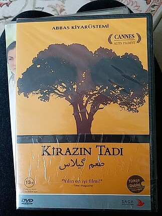 Sorunsuz