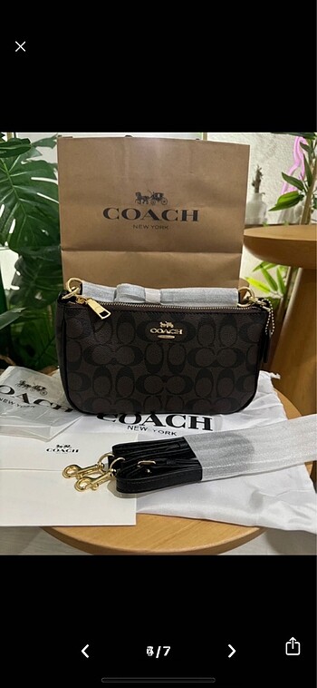 Beden kahverengi Renk Coach messico