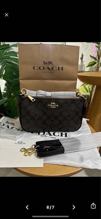 Beden Coach messico