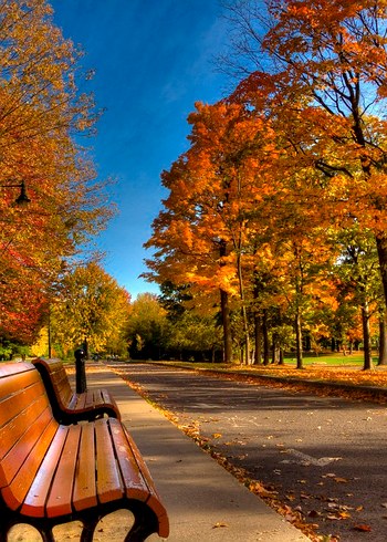 Canon PowerShot SX120 IS Dijital Fotoğraf Makinesi - Görsel 7