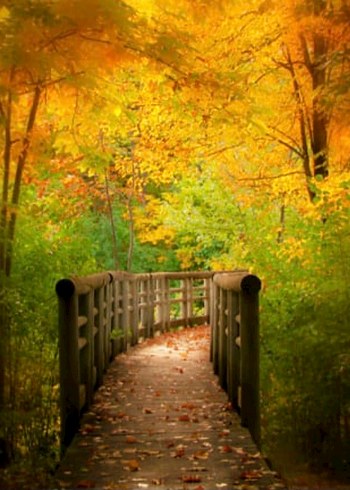 Canon PowerShot SX120 IS Dijital Fotoğraf Makinesi - Görsel 8