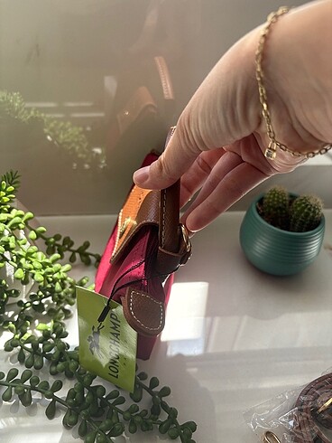 Diğer Mini Longchamp