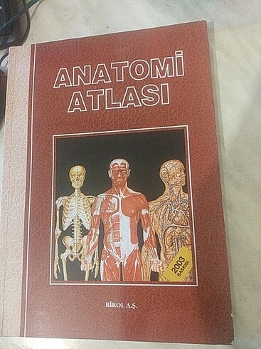 anatomi atlası 