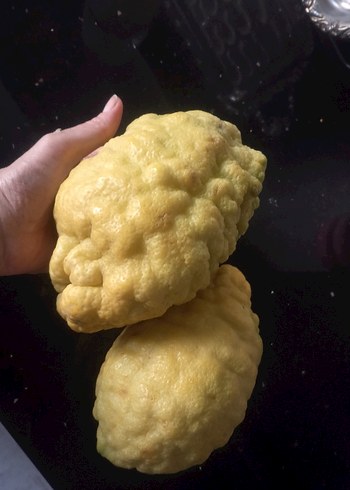 2 ADET BERGAMoT - Görsel 4