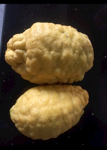 2 ADET BERGAMoT - Görsel 6