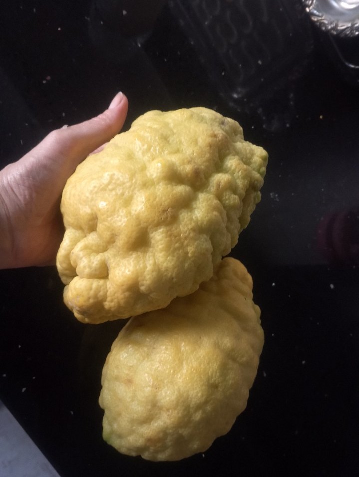 2 ADET BERGAMoT - Görsel 4