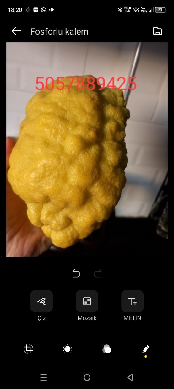 2 ADET BERGAMoT - Görsel 5