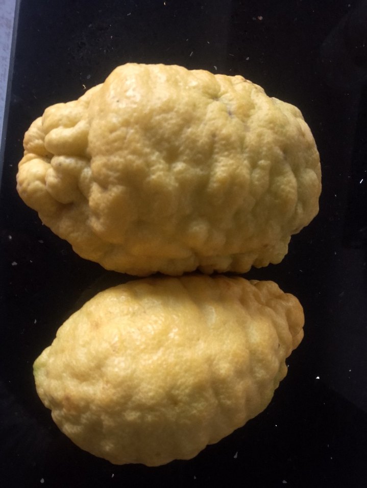 2 ADET BERGAMoT - Görsel 3