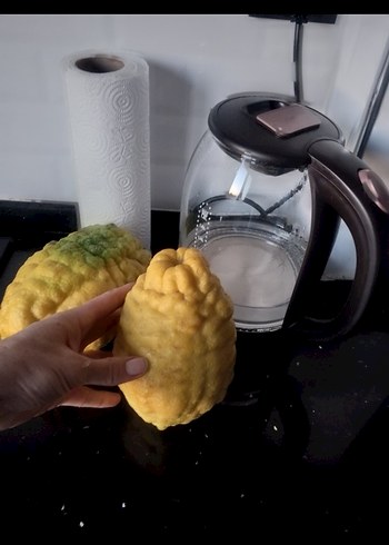 2Adet BERGAMOT - Görsel 6