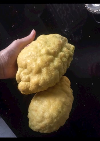 2Adet BERGAMOT - Görsel 2