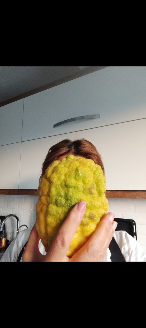 2Adet BERGAMOT - Görsel 5