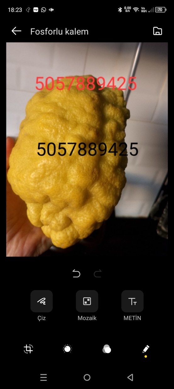 2Adet BERGAMOT - Görsel 3