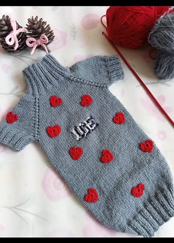 Örgü Köpek Kıyafeti - Görsel 6