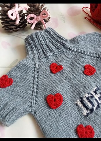 Örgü Köpek Kıyafeti - Görsel 3