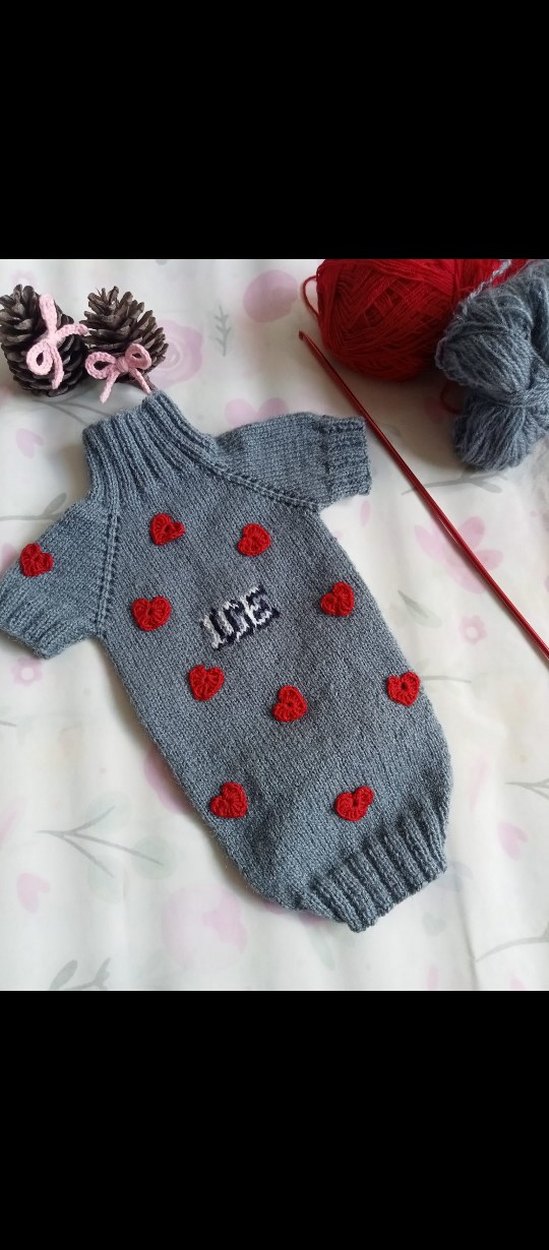 Örgü Köpek Kıyafeti - Görsel 2