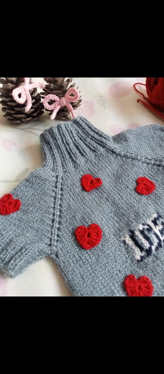 Örgü Köpek Kıyafeti - Görsel 3