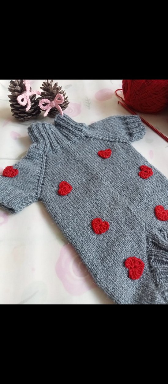 Örgü Köpek Kıyafeti - Görsel 4