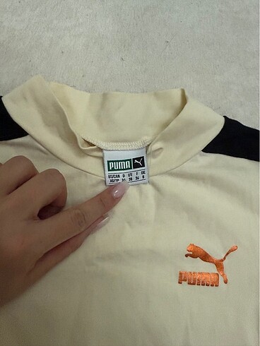 Puma ustttt