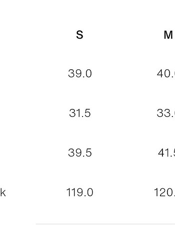 Zara Elbise - Görsel 4