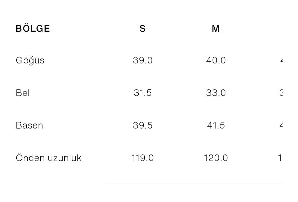 Zara Elbise - Görsel 4