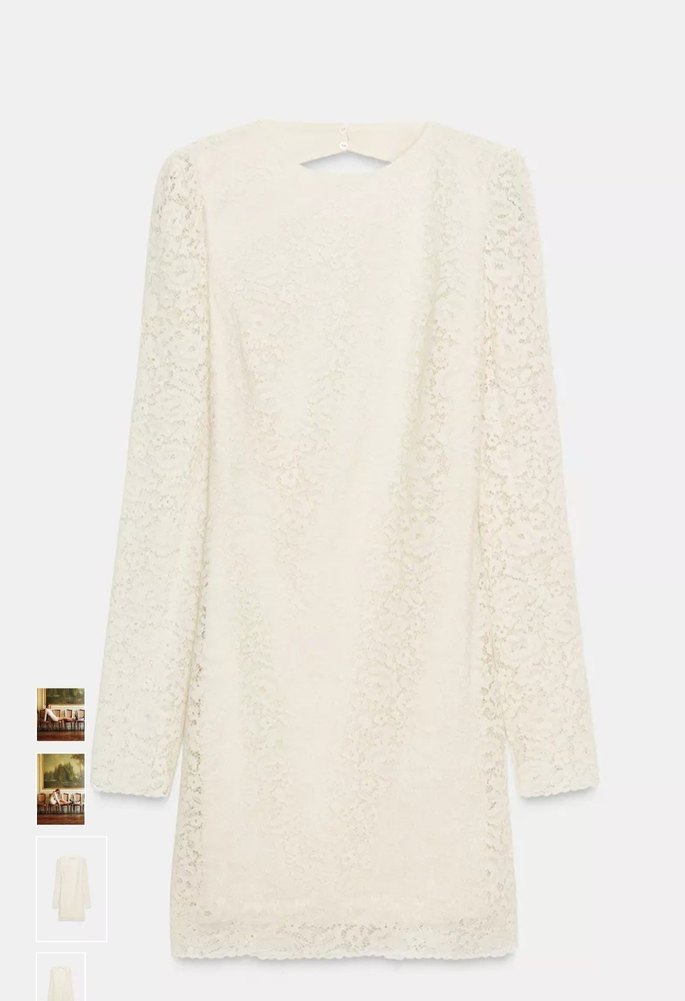 Zara Elbise - Görsel 3