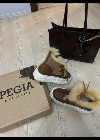 Pegia 39