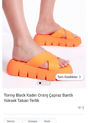 Yüksek taban terlik 