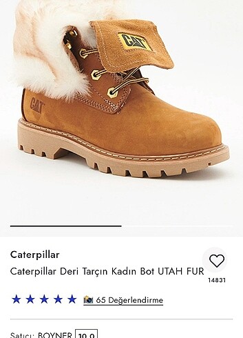 Cat Orjianal cat bot