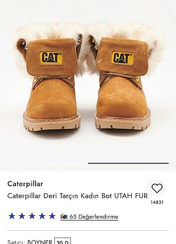 38 Beden Orjianal cat bot