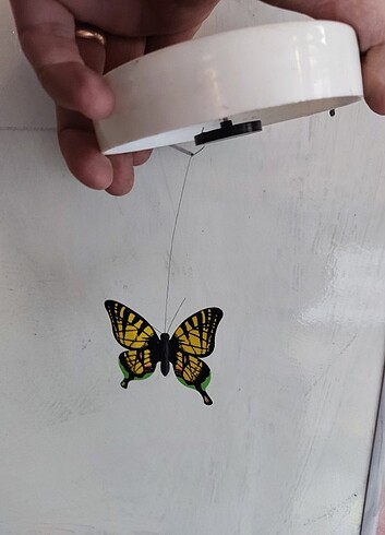  Beden Nostaljik kelebek Çağırıcı