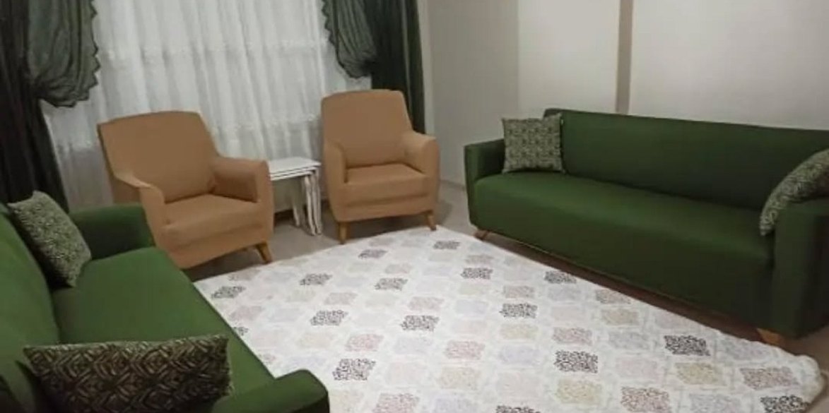 Parlak Haki Modern Kanepe Örtüsü - Görsel 2