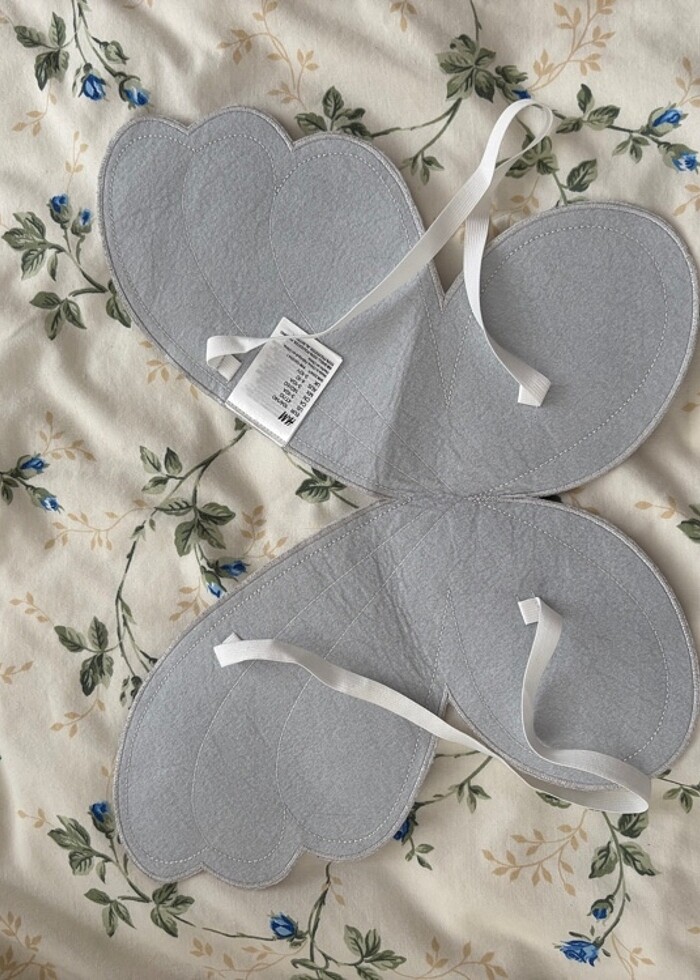 Kelebek kanadı - Görsel 2